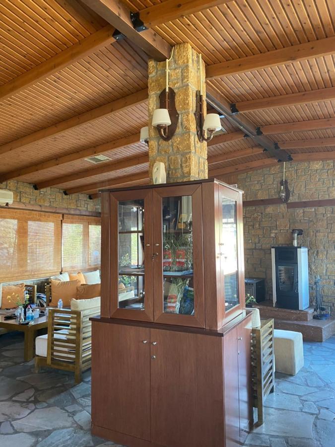 Villa Alexandra Grevená Extérieur photo